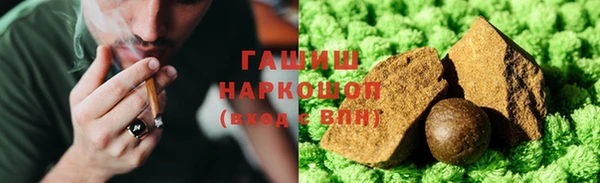 крисы Мегион