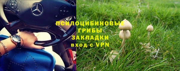 прущий лед Абдулино