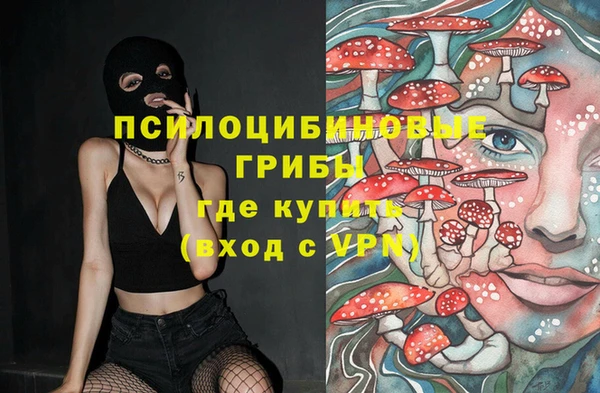 крисы Мегион