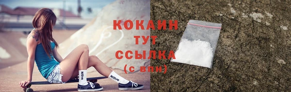 гидропоника Абаза