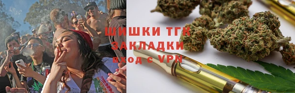 крисы Мегион