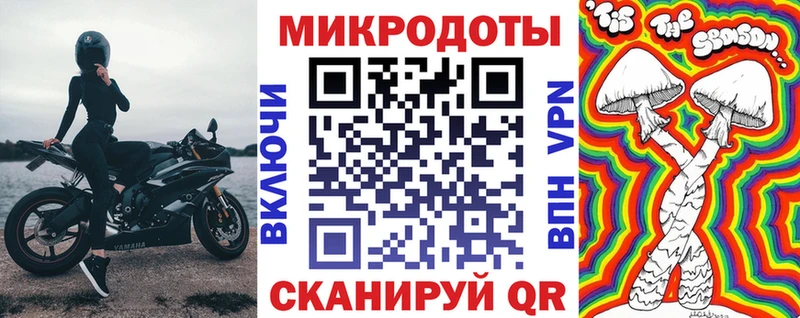 где продают наркотики  Сальск  Псилоцибиновые грибы MAGIC MUSHROOMS 